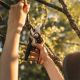 3. Fiskars Plus PowerLever P721 Pruning Shears