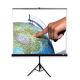 Projection screen on AVTEK Tripod Standard 150 stand (manually unrolled; 150 x 150 cm; 1:1; 83")