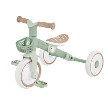 Tricycle/balance bike LEARNING TRIKE 2in1 PLUS ECOLOGIC (737-109)