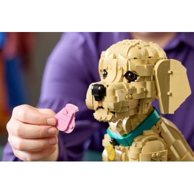 11. LEGO 11384 Icons - Golden Retriever Puppy