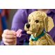 11. LEGO 11384 Icons - Golden Retriever Puppy