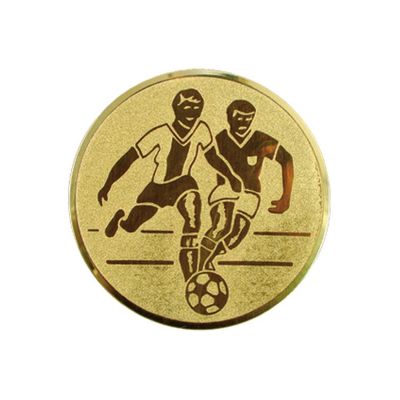 2. Aluminium Insert – Football