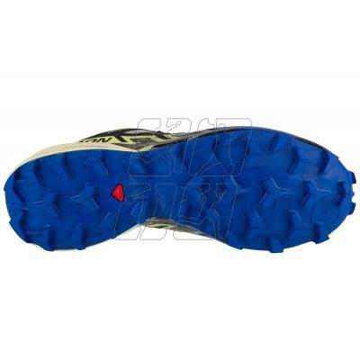 4. Salomon Speedcross 6 GTX M 475840 shoes