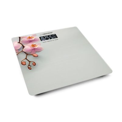 5. Esperanza Orchid EBS010 Bathroom Scale (Gray)