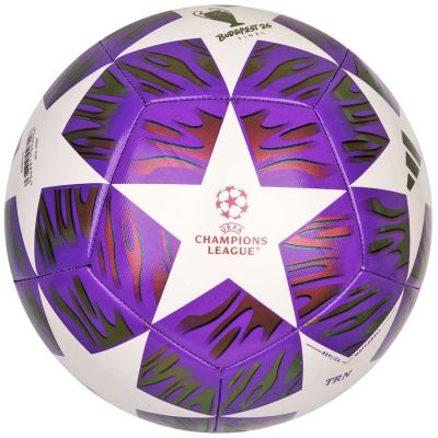 6. adidas UCL Training Ball JX9089