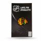 7. Inglasco NHL Logo pin 392SV000367