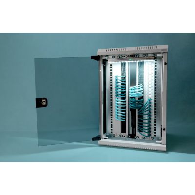 2. Digitus Combination Wall-Mounted Enclosure 254 mm (10") and 482.6 (19") mm