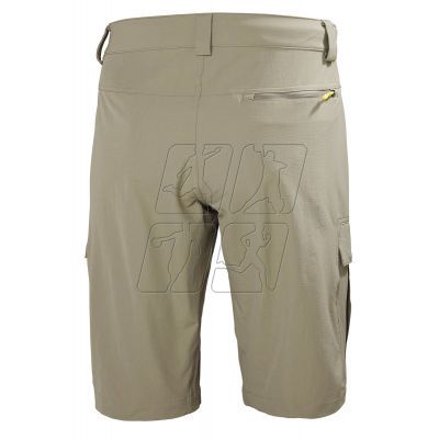 2. Helly Hansen HH QD Cargo Shorts 11&quot; 54154 720