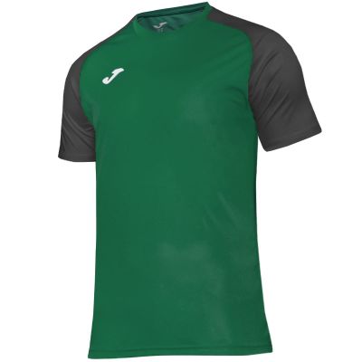 Joma Academy IV Sleeve Football Shirt 101968.451