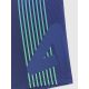 7. Men's swimming trunks 4F 4FRSS26USWTM084-31S