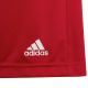 5. Adidas Entrada 22 Jr H57501 shorts
