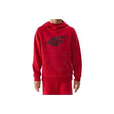 3. 4F Jr sweatshirt 4FJWSS24TSWSM0925-62S