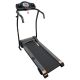 10. ELECTRIC TREADMILL W300-2 ENERO FIT
