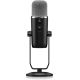 5. Behringer BIGFOOT microphone Black Studio microphone
