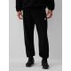 4. Men's jogger sweatpants 4F 4FRAW26TTROM2176-20S
