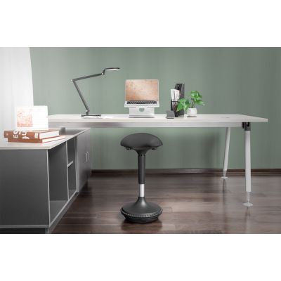 26. Digitus Ergonomic Stool/Standing Aid, Height Adjustable with Gas Spring