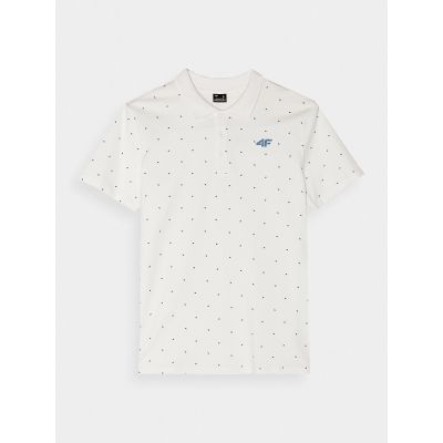 5. Men's polo shirt 4F 4FWSS25TPTSM703-10S