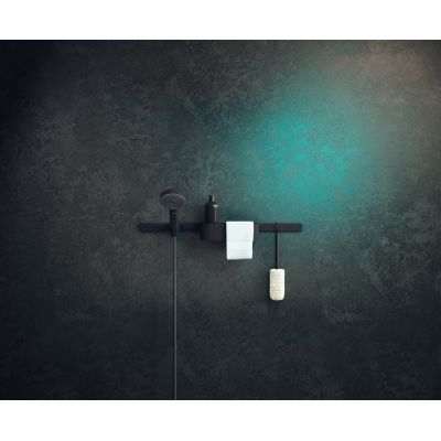 2. Hansgrohe 24110670 uncategorized