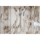 7. BATH SHELF ADDSTORIS Q HANSGROHE CHROME