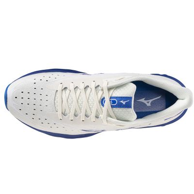 3. Mizuno Wave Skyrise 6 M J1GC250954 shoes