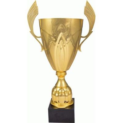 7. Gold metal cup 4126E