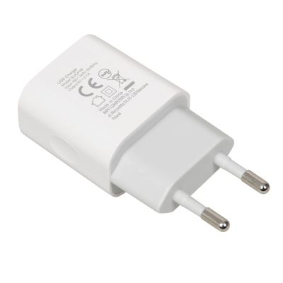 6. iBOX C-41 USB 2A wall charger, 1 USB port, microUSB cable