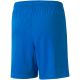 2. Puma teamLIGA Shorts Jr 704931 02
