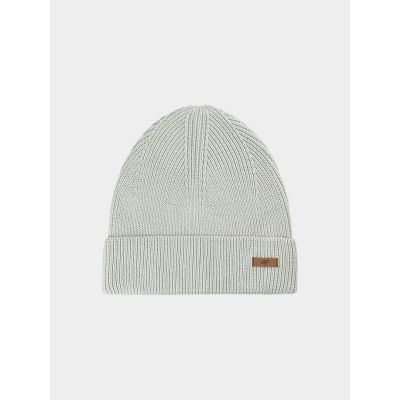 Men's winter hat 4F 4FWAW24ACAPM460-44S