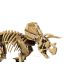 6. LEGO Jurassic World 77985 - Dinosaur Skeletons: Triceratops