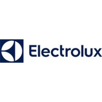 ELECTROLUX EL31C2OG Cyclonic Vacuum Cleaner