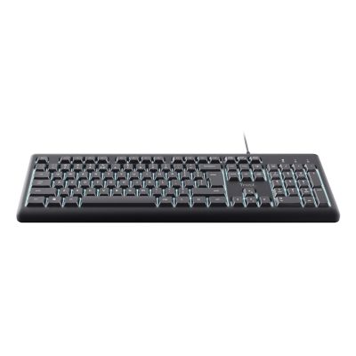 2. TRUST PRIMO Backlit USB-A Keyboard