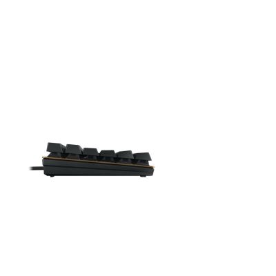 4. CHERRY KC 200 MX Keyboard Universal USB QWERTZ German Black, Brown