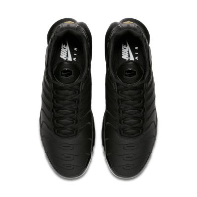 3. Nike Air Max Plus M AJ2029-001 shoes
