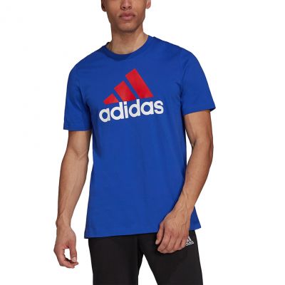 3. adidas Essentials Big Logo Tee M H12174