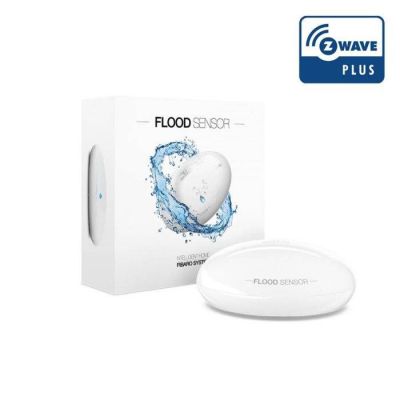 4. Nice Flood-Control flood and temperature sensor (FGFS-101 ZW5 EU)