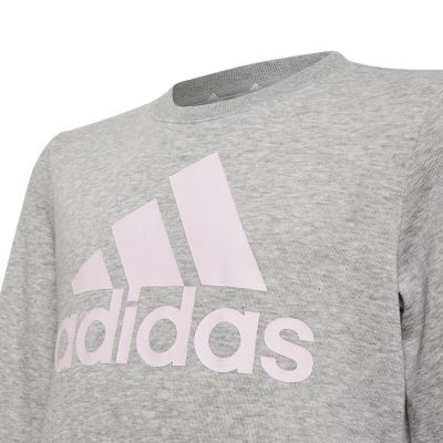 8. Adidas Big Logo Swt Jr HM8706 sweatshirt