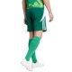 7. Adidas Tiro 24 M IS1410 shorts