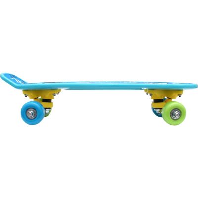 15. ENERO MINI PUPPY PLASTIC SKATEBOARD
