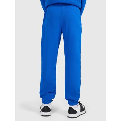 3. Boys' sweatpants 4F 4FJWAW26TTROM1759-36S