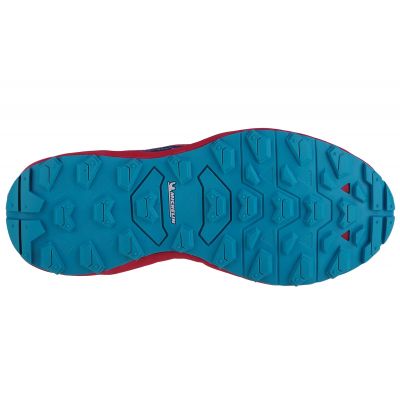4. Mizuno Wave Daichi 7 W shoes J1GK227141