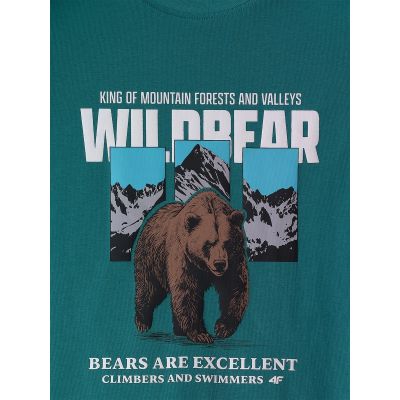 6. Boy's regular printed T-shirt 4F 4FJKAW26TTSHM4456-46S