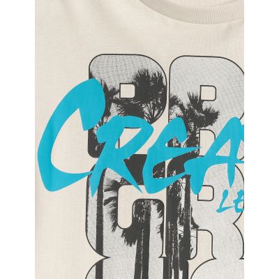 5. Boy's cotton T-shirt 4F 4FJRSS26TTSHM4167-27S