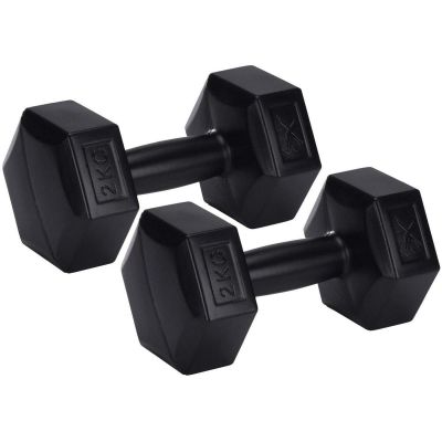 10. XQMAX COMPOSITE DUMBBELL SET 2x2KG