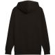 2. Puma ESS No.1 Logo Hoodie TR M 682572 01