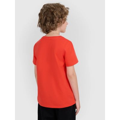 2. Boy's regular printed T-shirt 4F 4FJRAW25TTSHM3261-62S