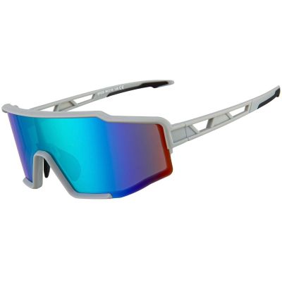 Rockbros Polarized Sports Glasses SP225GB