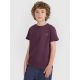 6. Regular plain T-shirt (SET OF 2) for children 4F 4FJRAW25TTSHU3157-92S