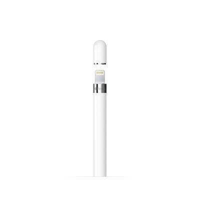 2. Apple Pencil 1st Generation