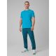 4. Men's quick-drying training pants 4F 4FRSS26TFTRM1411-30S