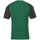 3. Joma Academy IV Sleeve football shirt 101968.451